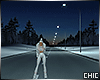 !T! Winter Night Road