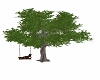 tree with swing