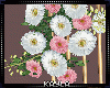 MAU/ SWEET PARTY DECOR