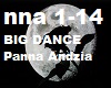 BIG DANCE- Panna Andzia