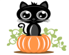 Kitty pumpkin