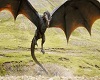 Khaleesi's Castle Dragon