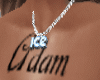 Ice Charm
