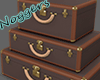 Travel Trunks