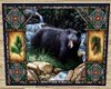 Art Black Bear Special F