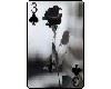 Rose card B & W