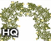 Roses Yellow Arch