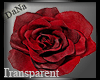 {D}red rose