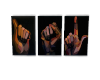ASL Art Canvas Trio