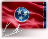 Tennessee FLAG