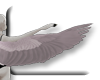 Dove Wings