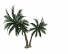 Paradise Palm Tree