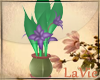 |OASIS| plant vase