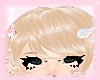 ♡ dolli bangs ♡