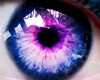 [PRO] purple blue eyes