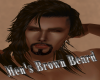 Men's Brown Beard