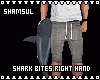 Shark Bites Right Hand