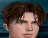 Brown Hair Charles