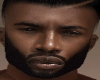 JoJ Dev 1