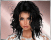 Bundle RLL