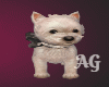 Yorkie Pup White A.G.