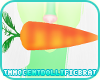 +ID+ Forår Carrot V1 F