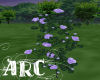 ARC Purple Roses