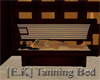[E.K] Tanning Bed