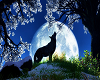 Wolf Moon Scene