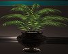Chill Room Plant 2
