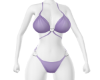 Summer  Bikini  Purple