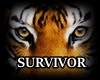 AB - Survivor