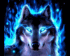Wolf Blue