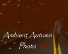 AV Ambient Autumn Photo