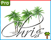 Palm Trees Bundle