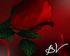 !!! GothicRose Roses ll