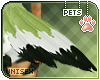 [Pets] Izu | tail v3