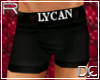!! Boxers LYCAN