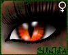 )S( Drago Eye Orange