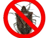 Stink Bugs Not Welcome!