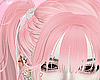 𝟭. Rini pinku