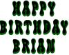 Happy BDay Brian