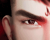 Trooper brows