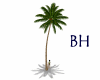 BH Animated Palm Tree