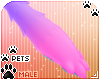 [Pets] Phir | paws v2