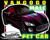 VG plum pet AVI car MALE