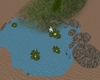 small lake