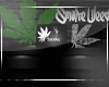 ISmoke Weed -Couch