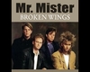 MR MISTER broken wings