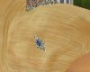 CA Silverleaf Hair Clip